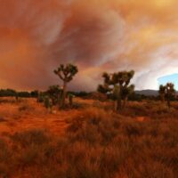 Southern_California_Fires_3869161421-500x357