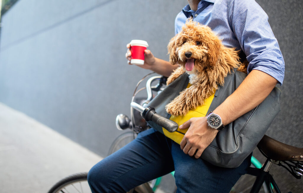 Suing for a Dog Bite in San Francisco While Working for Uber Eats