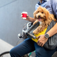 Suing for a Dog Bite in San Francisco While Working for Uber Eats